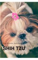 Shih Tzu