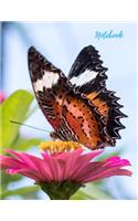 Notebook: Buterfly Notebook, Journal, Diary (110 Pages, Blank, 8.5 x 11)