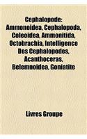 Cephalopode