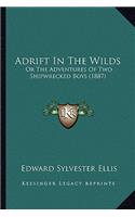 Adrift In The Wilds: Or The Adventures Of Two Shipwrecked Boys (1887)(English)