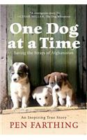 One Dog at a Time