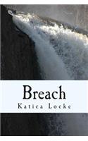 Breach
