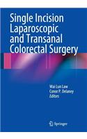 Single Incision Laparoscopic and Transanal Colorectal Surgery