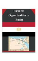 Business Opportunities in Egypt