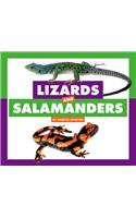 Lizards and Salamanders