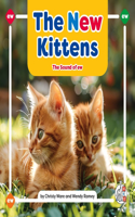 New Kittens