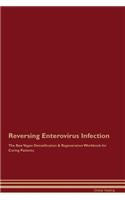 Reversing Enterovirus Infection The Raw Vegan Detoxification & Regeneration Workbook for Curing Patients