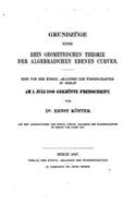 Grundzuge Einer Rein Geometrischen Theorie der Algebraischen Ebenen Curven