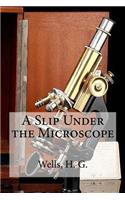 Slip Under the Microscope