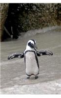 Magellanic Penguin (Spheniscus Magellanicus) in Antarctica Journal: 150 page lined notebook/diary