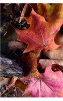 Autumn Leaves Journal