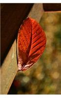 Autumn Leaf on a Rail Journal