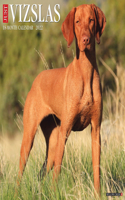 Just Vizslas 2022 Wall Calendar (Dog Breed)