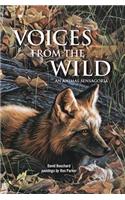 Voices from the Wild