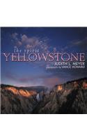 The Spirit of Yellowstone