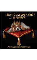 How to Live Like a King.in America