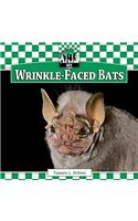 Wrinkle-Faced Bats