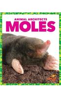 Moles