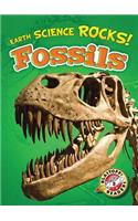 Fossils