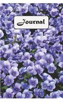 Journal