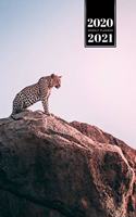 Panther Leopard Cheetah Cougar Week Planner Weekly Organizer Calendar 2020 / 2021 - Sunset on Mountain Top