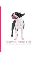 Boston Terrier- When Getting a Dog Just Wasn't Enough: Weekly Planner. Monthly Calendars, Daily Schedule, Important Dates, Mood Tracker, Goals and Thoughts all in One! With a Cute Boston Terrier Illustra