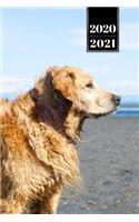 Golden Retriever Dog Calendar Week Planner 2020 / 2021 - Beach Time: Pup Puppy Doggie Pet Owner Weekly Bullet Journal Notebook Diary in 6" x 9" Inch Pocket Size