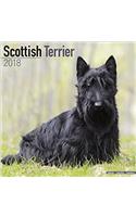 Scottish Terrier Calendar 2018