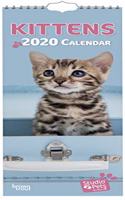 KITTENS 2020 SLIM CALENDAR STUDIO PETS