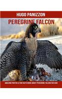 Peregrine Falcon: Amazing Photos & Fun Facts Book about Peregrine Falcon for Kids