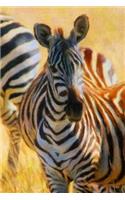 Standing Zebra - Blank Notebook: 101 Pages, 6 x 9 Journal, Soft Cover