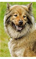 Happy Eurasier Dog Journal: 150 Page Lined Notebook/Diary
