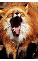 Big Yawn, Small Red Fox Journal: Take Notes, Write Down Memories in this 150 Page Lined Journal