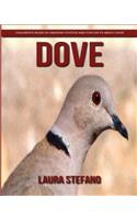Dove