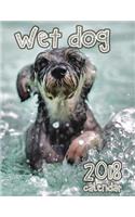 Wet Dog 2018 Calendar