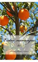 Entre naranjos