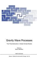 Gravity Wave Processes