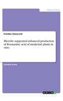 Microbe supported enhanced production of Rosmarinic acid of medicinal plants in vitro