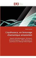 L''ayahuasca, Un Breuvage Chamanique Amazonien
