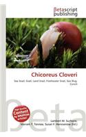 Chicoreus Cloveri