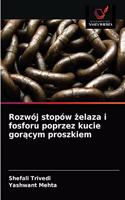 Rozwój stopów zelaza i fosforu poprzez kucie goracym proszkiem