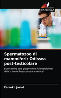 Spermatozoo di mammiferi: Odissea post-testicolare