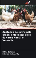 Anatomia dei principali organi linfoidi nel pollo da carne Hansli e Vencobb