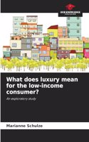 What does luxury mean for the low-income consumer?