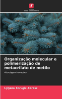 Organização molecular e polimerização de metacrilato de metilo