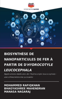 Biosynthèse de Nanoparticules de Fer À Partir de d'Hydrocotyle Leucocephala
