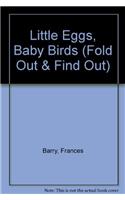 Little Eggs, Baby Birds (Fold Out & Find Out)