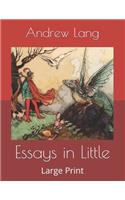 Essays in Little: Large Print