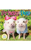 Prissy & Pop: Big Day Out