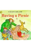 Having a Picnic: (Puffin playschool books)
